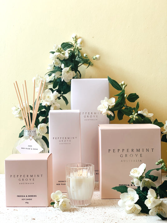 Plants Moss Industry Florist