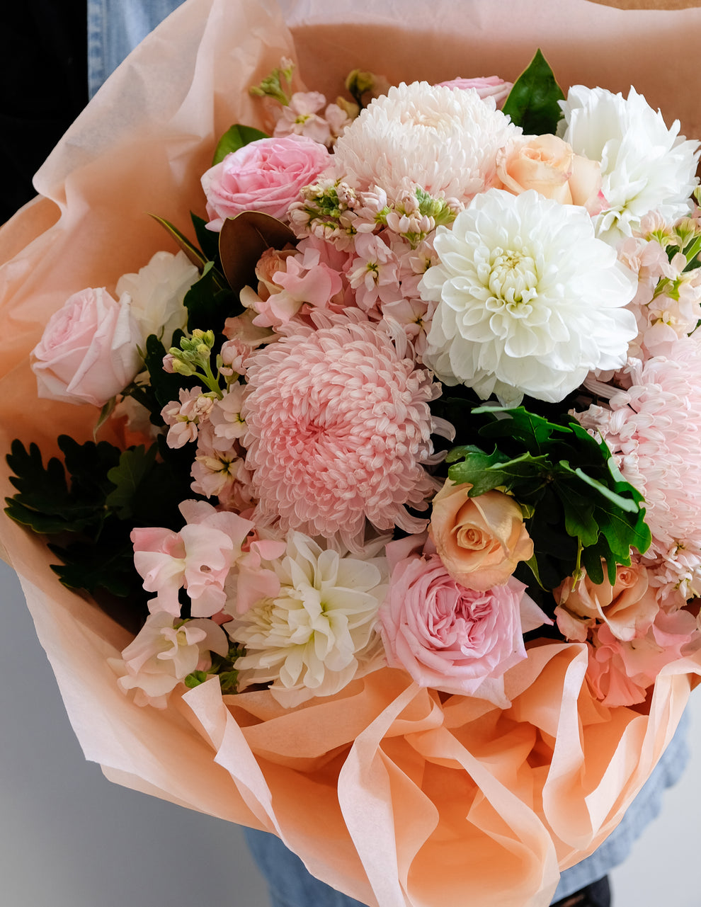 Powder Puff Moss Industry Florist