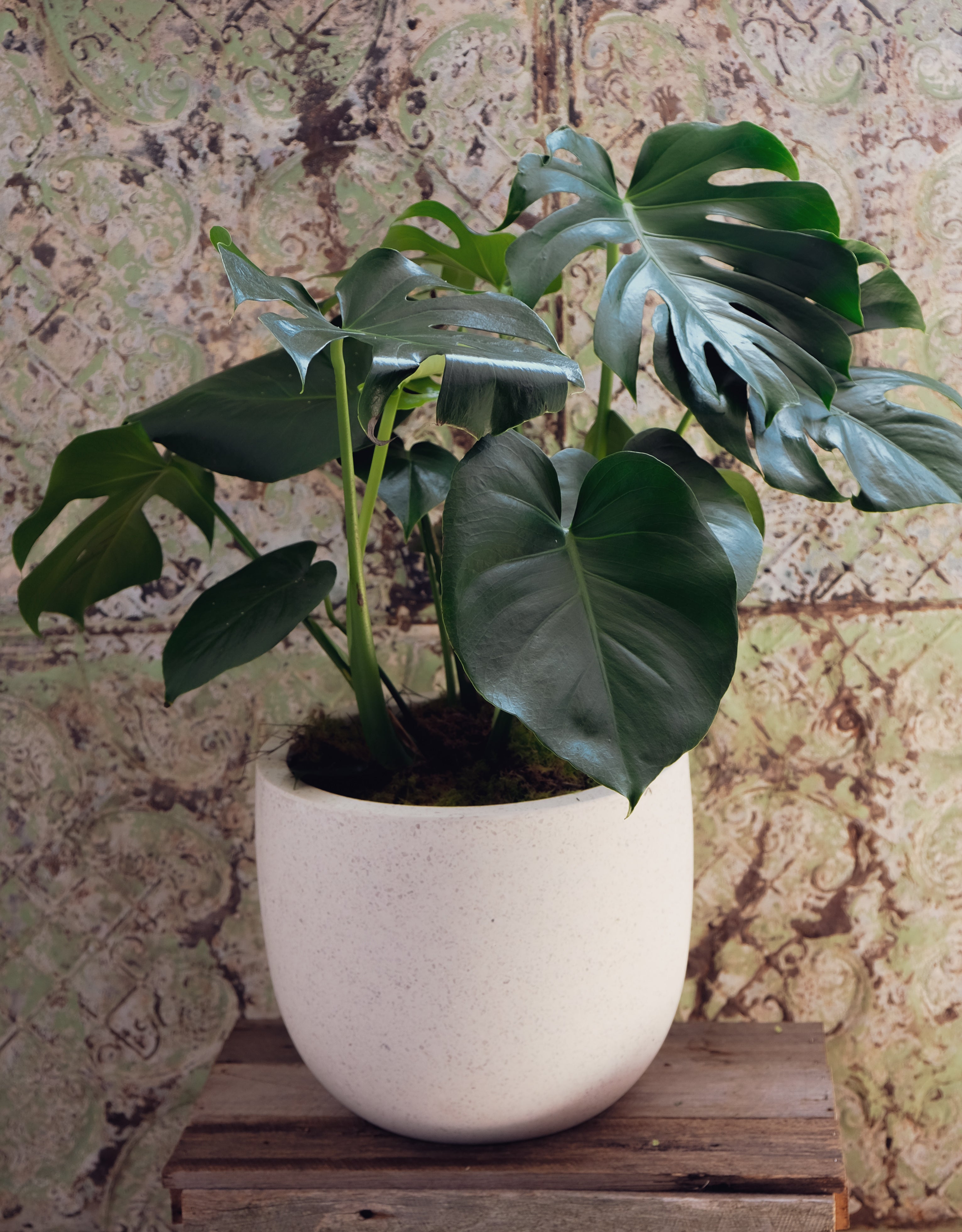 Green Thumb
