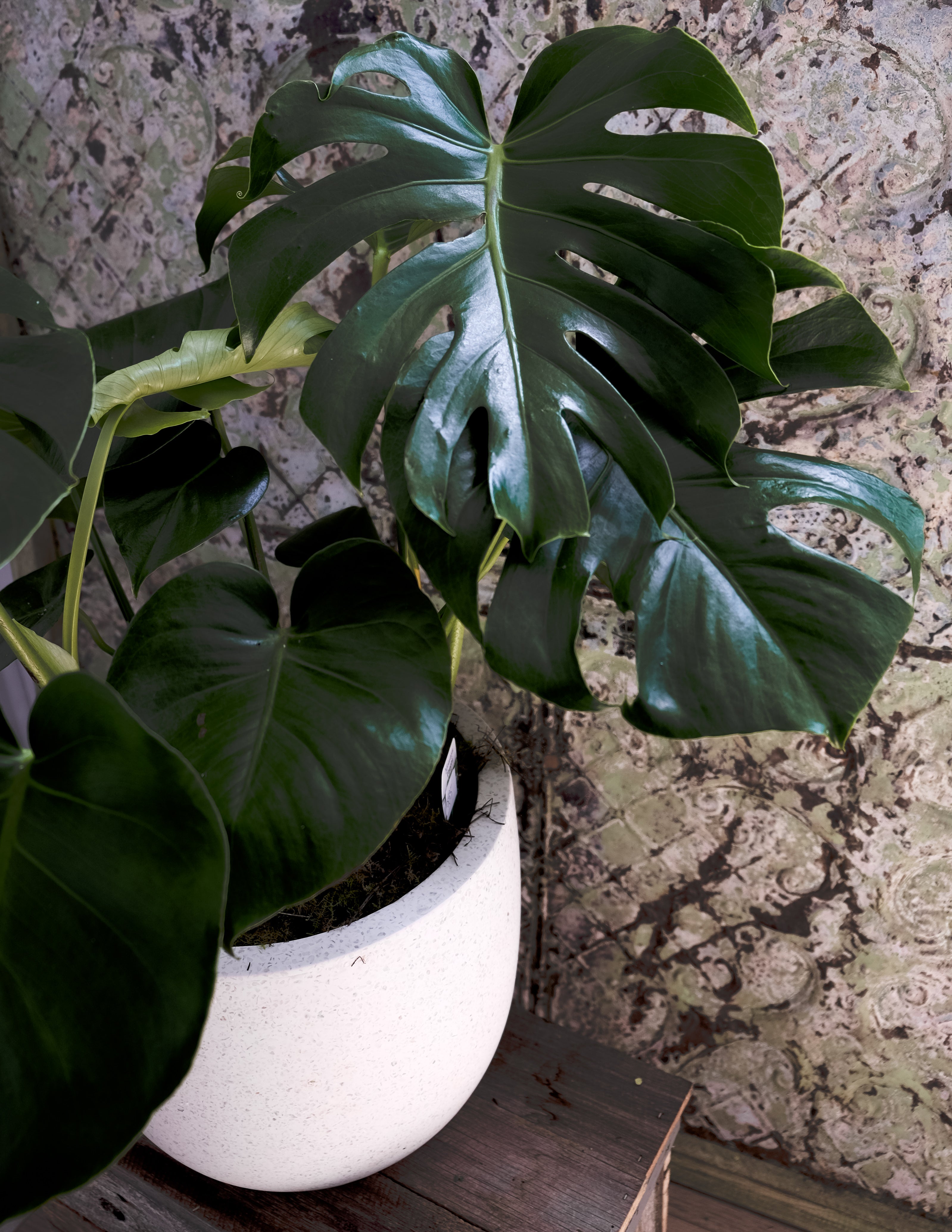 Green Thumb