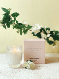 Peppermint Grove Candle